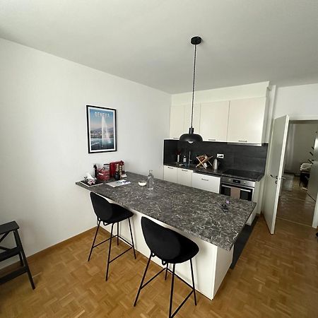 Magnificent Apartment, Geneva Center, Geneva Lake Esterno foto